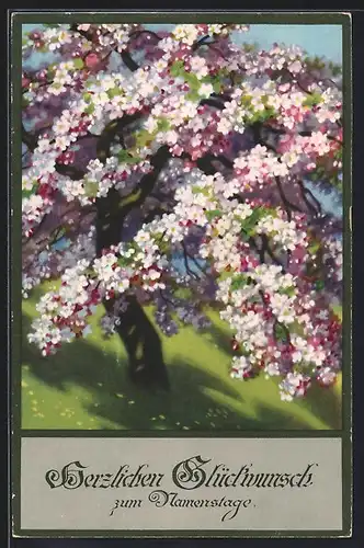 Künstler-AK Meissner & Buch (M&B) Nr. 2347: Blühender Baum, Namenstagsgruss