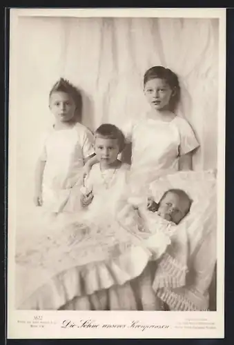 AK Die Söhne unseres Kronprinzenpaares