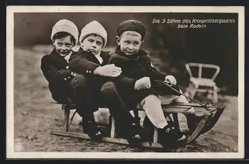 AK Die Söhne des Kronprinzenpaares beim Rodeln