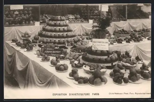 AK Paris, Ausstellung Exposition d`Horticulture, Ecole d`Horticulture de St-Nicolas