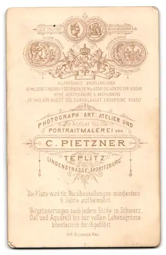 Fotografie C. Pietzner, Teplitz, Lindenstrasse, Bürgerlicher Herr im Anzug mit Vollbart und Zwicker