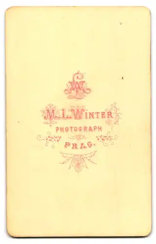 Fotografie M. L. Winter, Prag, Herr im feinen Anzug mit gepflegtem Backenbart und Schlips