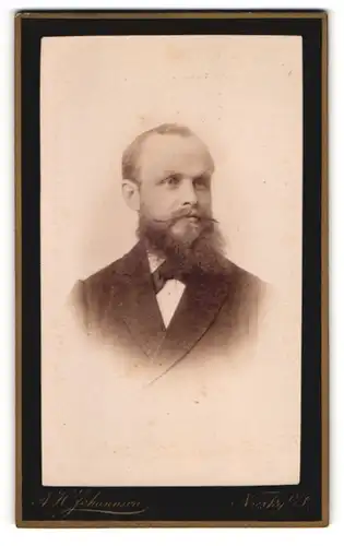 Fotografie A. H. Johannson, Niesky, Herr im Anzug mit Vollbart