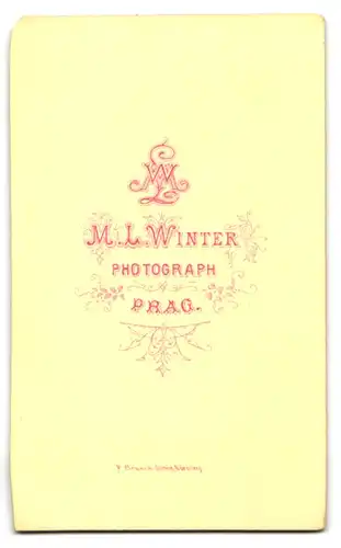 Fotografie M. L. Winter, Prag, niedliches tschechisches Mädchen im Kleid mit Strohhut