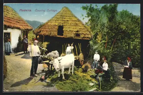 AK Madeira, Costume campestre, Bauernhof auf der Insel
