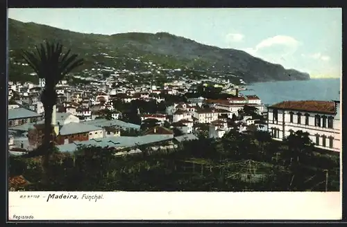 AK Funcha /Madeira, Panorama