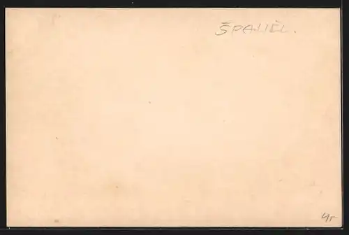 AK Funchal /Madeira, Ortsansicht mit Meeresblick