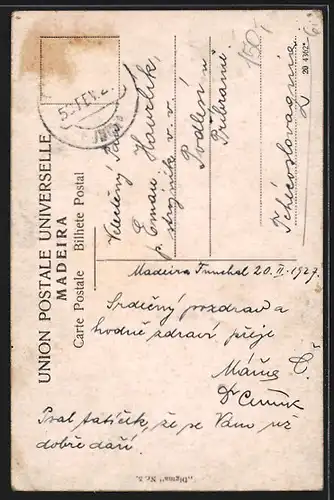 AK Funchal /Madeira, Teilansicht mit Bergblick