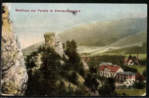 AK Steinkunzendorf, Gasthaus-Hotel zur Forelle H. Vogel aus der Vogelschau