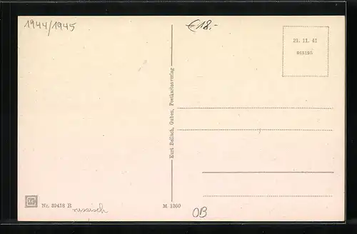 AK Zielenzig, Totalansicht, Marktplatz, Ankensee