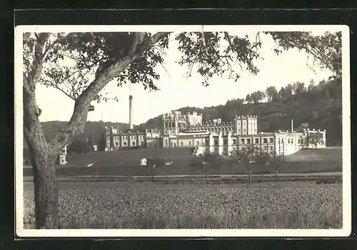 AK Rheinfelden, Brauerei Feldschlösschen