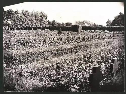 Fotografie Ansicht Wilhelmshaven, Blick auf den Garnisonfriedhof