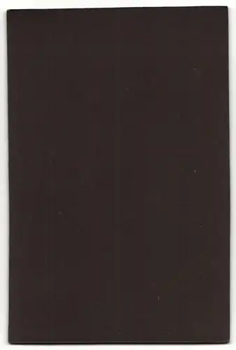 Fotografie Chr. Barth, Tübingen, Portrait drei bürgerliche Herren in eleganter Kleidung