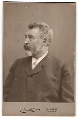 Fotografie Ferdinand Bimpage, Halle a / S., Portrait stattlicher Herr im Anzug mit Krawatte und Bart