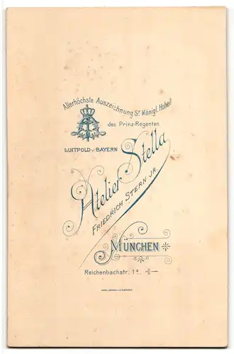 Fotografie Friedrich Stern jr., München, Portrait stattlicher Herr im Anzug mit Fliege und Schnauzbart