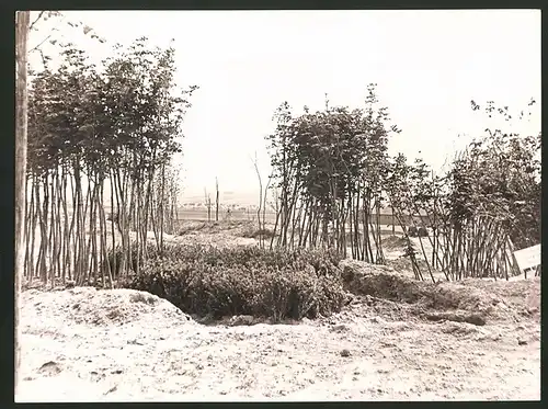 Fotografie Ansicht Wien, Gartenanlagen auf dem Laaer Berg