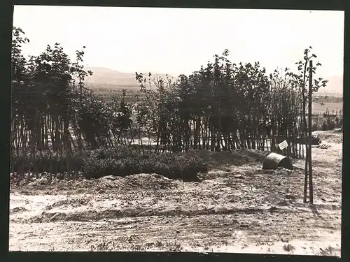 Fotografie Ansicht Wien, Gartenanlagen auf dem Laaer Berg