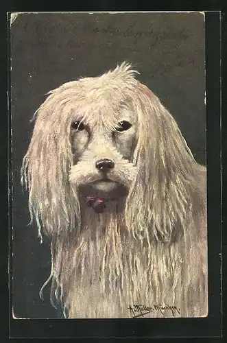 Künstler-AK August Müller - München: Portrait eines Hundes mit langem Fell