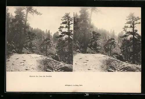 Stereo-AK Route du Lac de Gaube