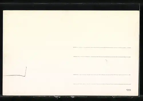 Stereo-AK Affenmutter mit Affenbaby