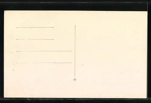 Stereo-AK Ameisenbär im Profil