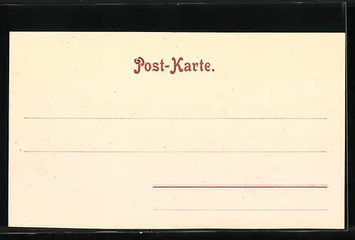 Stereo-AK Amerika, Weg im Urwald