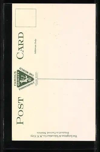 AK New York, NY, Woolworth Building and Broadway