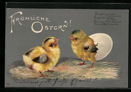 AK Osterküken schlüpft aus einem Ei