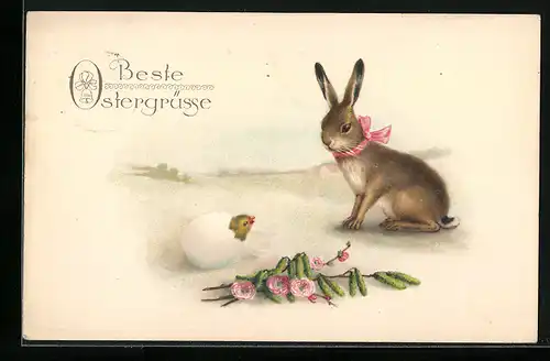 AK Osterhase neben schlüpfendem Osterküken