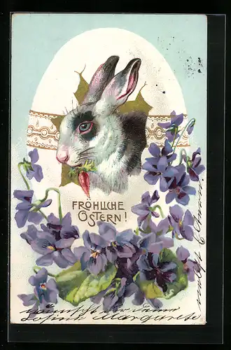 AK Fröhliche Ostern, Osterhase und Veilchen