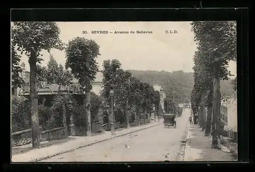 AK Sèvres, Avenue de Bellevue