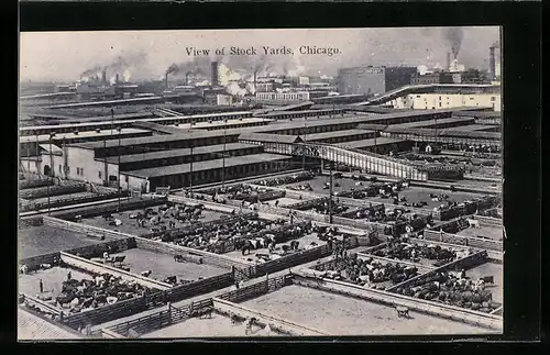 AK Chicago, IL, View of Stock Yards