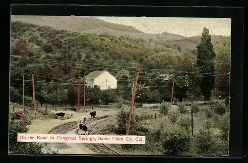 AK Santa Clara Co., CA, On the Road to Congress Springs