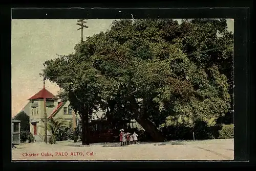 AK Palo Alto, CA, Charter Oaks