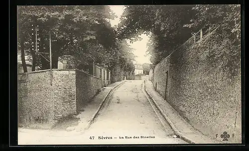 AK Sèvres, La Rue des Binelles