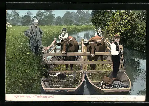 AK Spreewald, Viehtransport, Spreewälder Tracht
