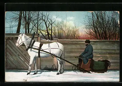 AK Russischer Mann mit Pferdeschlitten