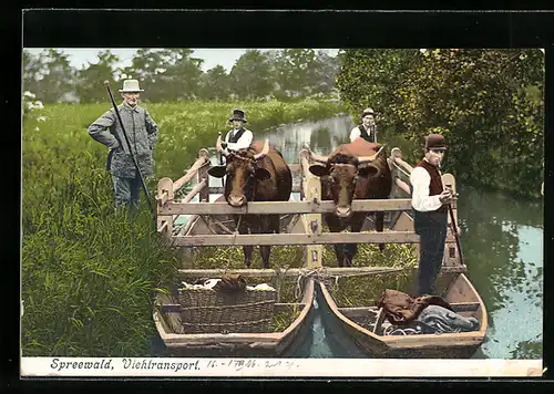 AK Spreewald, Männer in Tracht beim Viehtransport