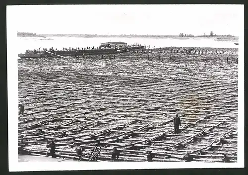 Fotografie Ansicht Arkansas, Baustelle zur Flutbekämpfung am Mississippi, Versenkung der Unterlage