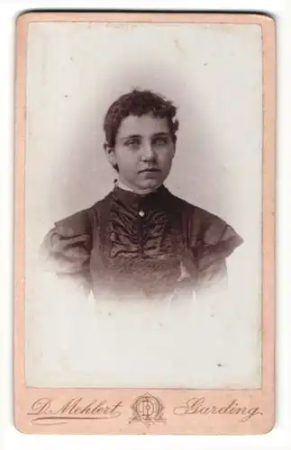 Fotografie D. Mehlert, Garding, Portrait schöne Dame im bestickten Kleid