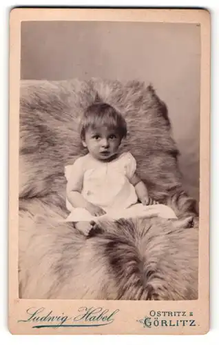 Fotografie Ludwig Habel, Görlitz, Portrait bezauberndes Kleinkind im weissen Hemdchen auf Fell sitzend