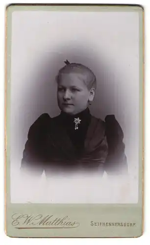 Fotografie E. W. Matthias, Seifhennersdorf, Portrait wunderschönes Fräulein mit Brosche am Kragen