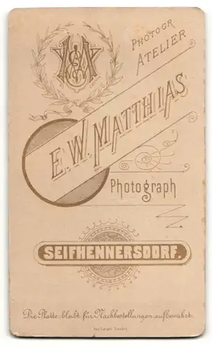 Fotografie E. W. Matthias, Seifhennersdorf, Portrait wunderschönes Fräulein mit Brosche am Kragen