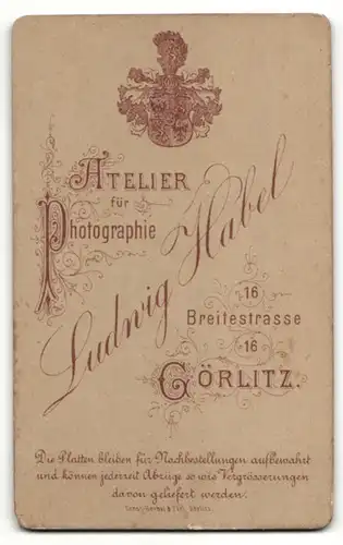 Fotografie Ludwig Habel, Görlitz, junger charmanter Mann im Jackett