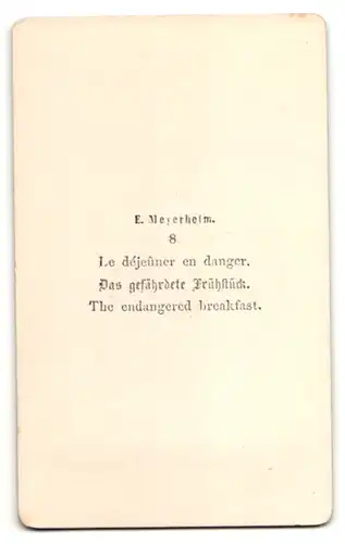 Fotografie E. Meyerheim, Nr. 8, das gefährdete Frühstück, Hahn interressiert sich für Butterbrot