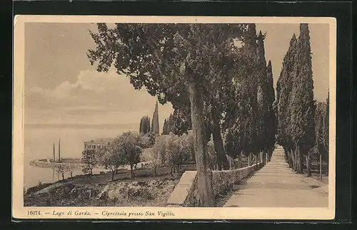 AK San Vigilio, Cipressaia presso San Vigilio, Lago di Garda