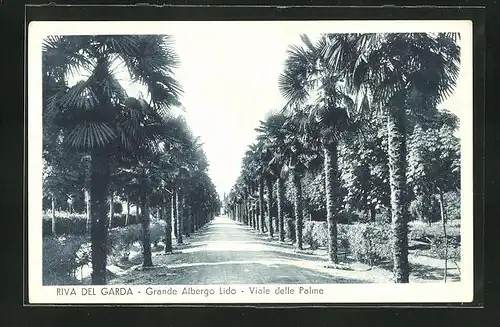 AK Riva del Garda, Grande Albergo Lido, Viale delle Palme