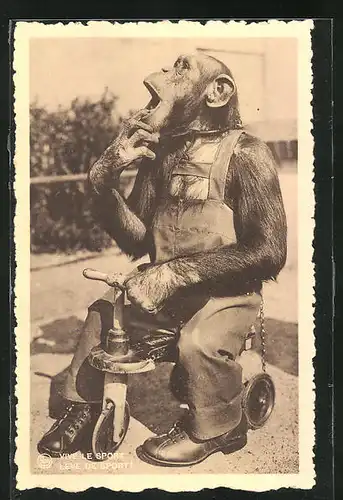 AK Junger Schimpanse in Kleidung auf dem Dreirad