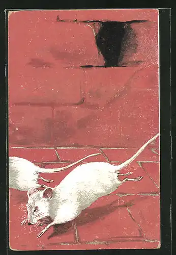 AK Weisse Mäuse auf der Flucht