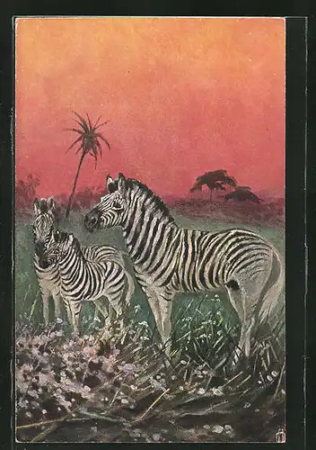 Künstler-AK Zebra-Familie im Abendlicht